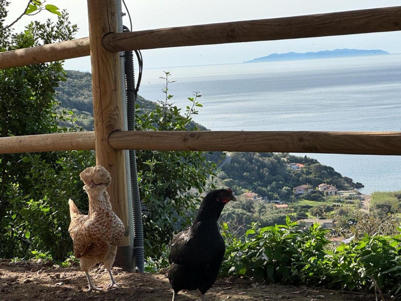 Agriturismo Paradisa Rio dellʼElba Exterior foto