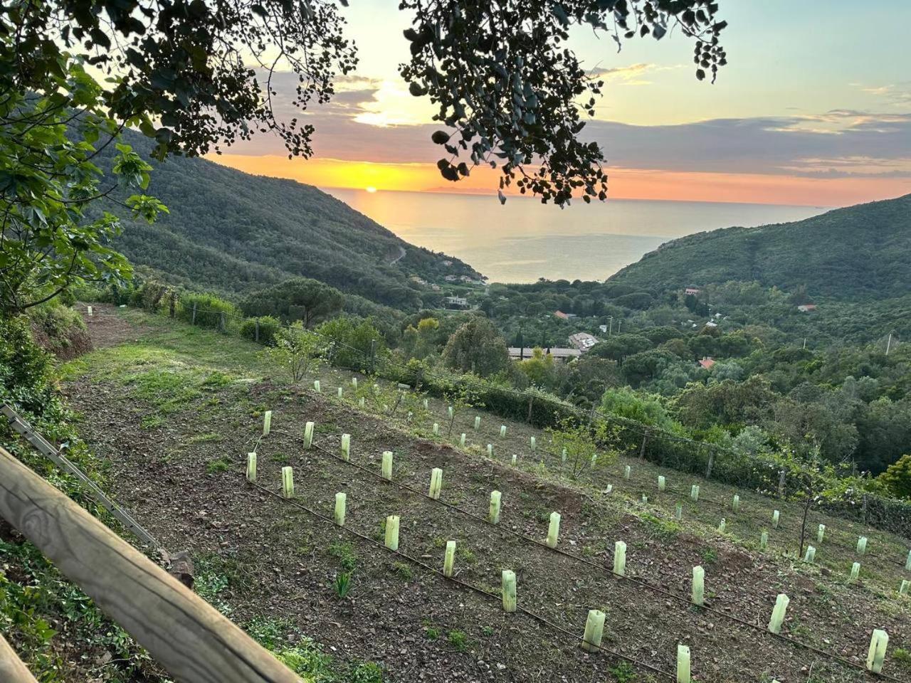 Agriturismo Paradisa Rio dellʼElba Exterior foto
